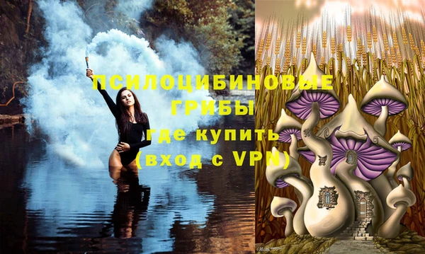 наркотики Ельня