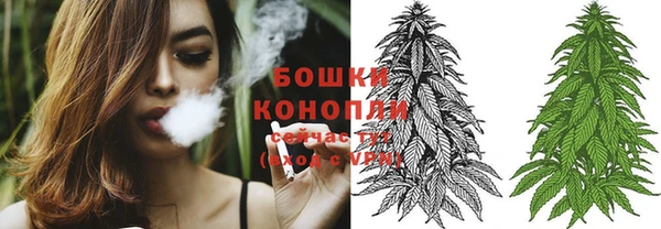 2c-b Елабуга