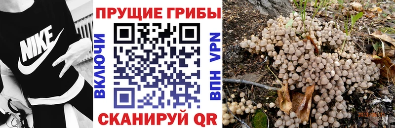 Галлюциногенные грибы мухоморы  закладка  Рубцовск 